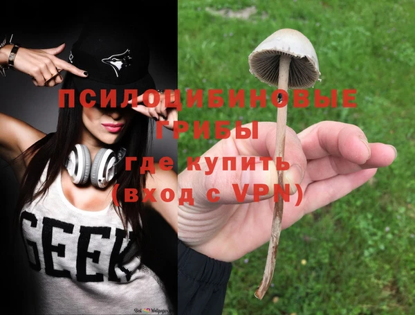 метадон Бородино