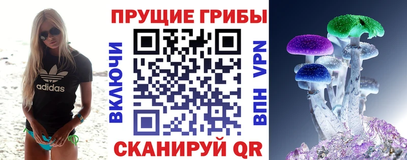 Псилоцибиновые грибы Magic Shrooms  сколько стоит  Первомайск 